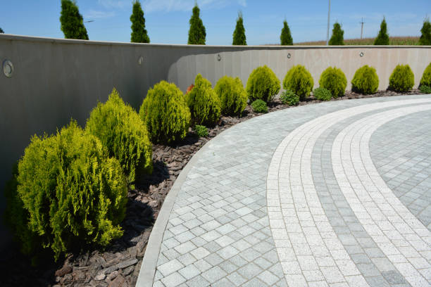 Best Interlocking Driveway Pavers  in Westmont, PA